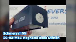 Interrupteur à lames magnétique Schmersal BN 20-RZ-M16