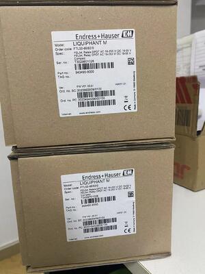 E+H FTL50-1DN80/0 Liquiphant M Vibronic Diapason Point Switch de niveau