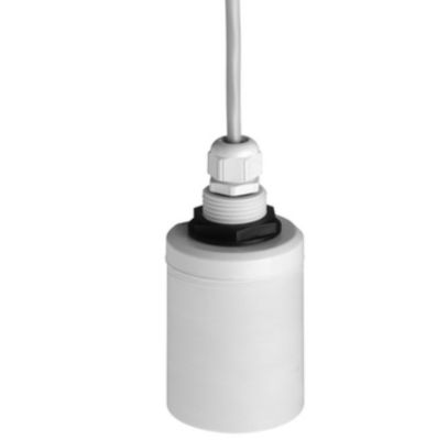 FDU91-RG2AA FDU91 Endress Hauser Mesure par ultrasons Temps de vol Prosonique
